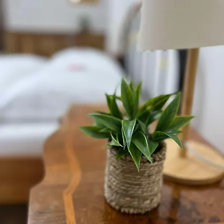 Premium U Swietego Mikolaja Apartman