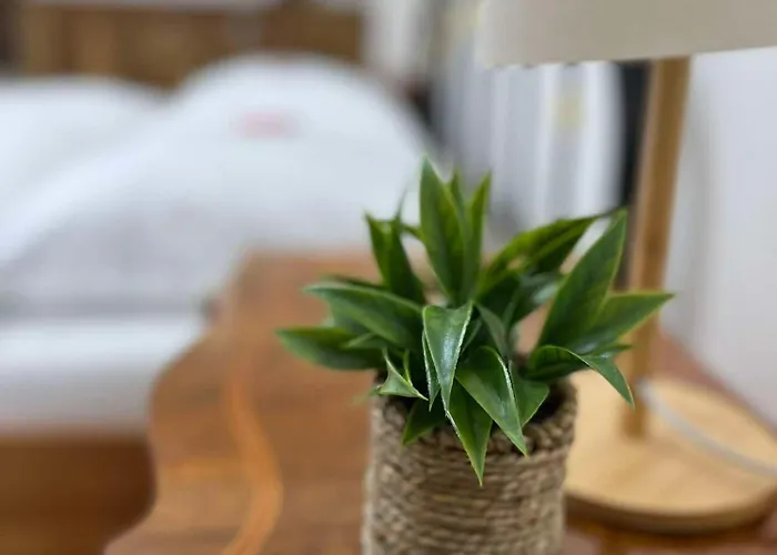 Premium U Swietego Mikolaja Apartman